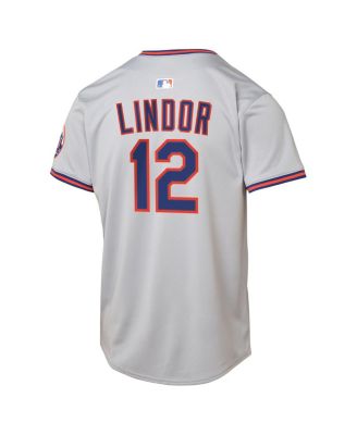 Big Boys and Girls Francisco Lindor Gray New York Mets Road Limited Jersey