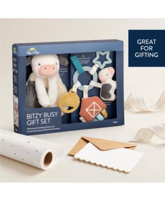 Baby Bitzy Busy Gift Set