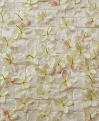 Gelsomino A Freddo Eau De Parfum Spray, 3.4 oz.