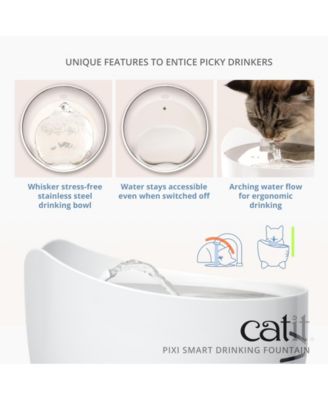 Pixi Smart Drinking Fountain, Stainless Top