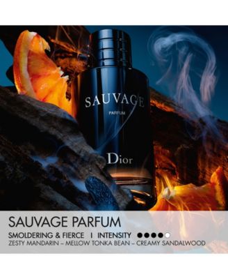 Men's Sauvage Parfum Spray, 1 oz.