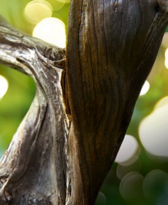 Man Wood Essence Eau de Parfum Spray, 5.0 oz.