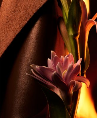 Man in Black Eau de Parfum Spray, 5.00 oz.