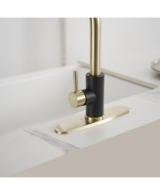 2 Sprayer Single Hole Single-Handle Pull Out Kitchen Faucet in Matte Black and Brushed Gold