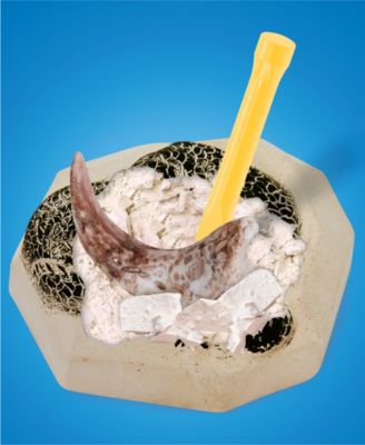 Dino Fossils Unearthed Excavation Kit 2-Pack 