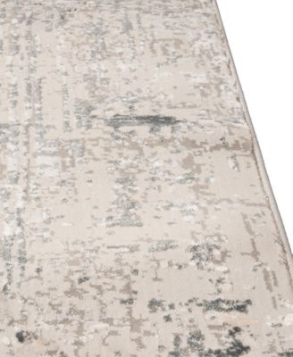 Alloy ALL343 4'x6' Area Rug