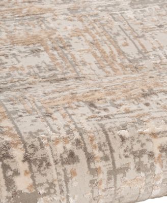 Alloy ALL343 5'x8' Area Rug