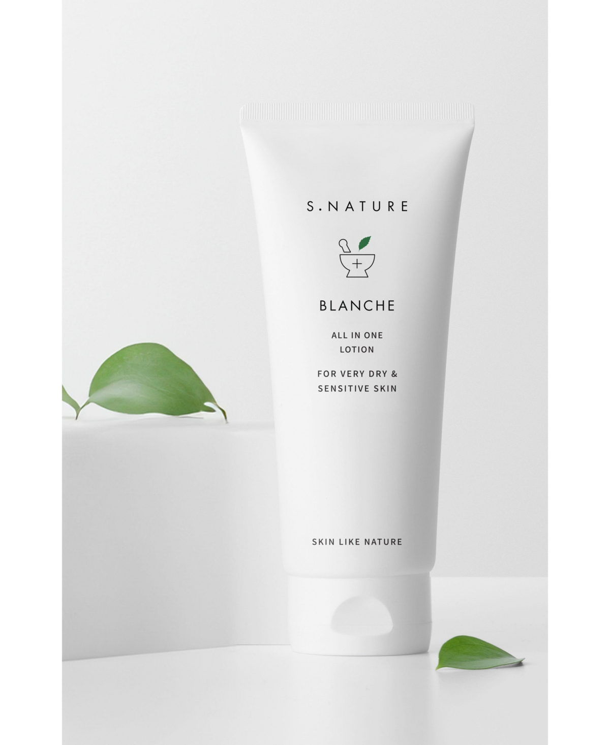 Blanche Lotion