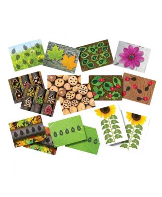 Ladybug Stones and Detailed Activity Cards