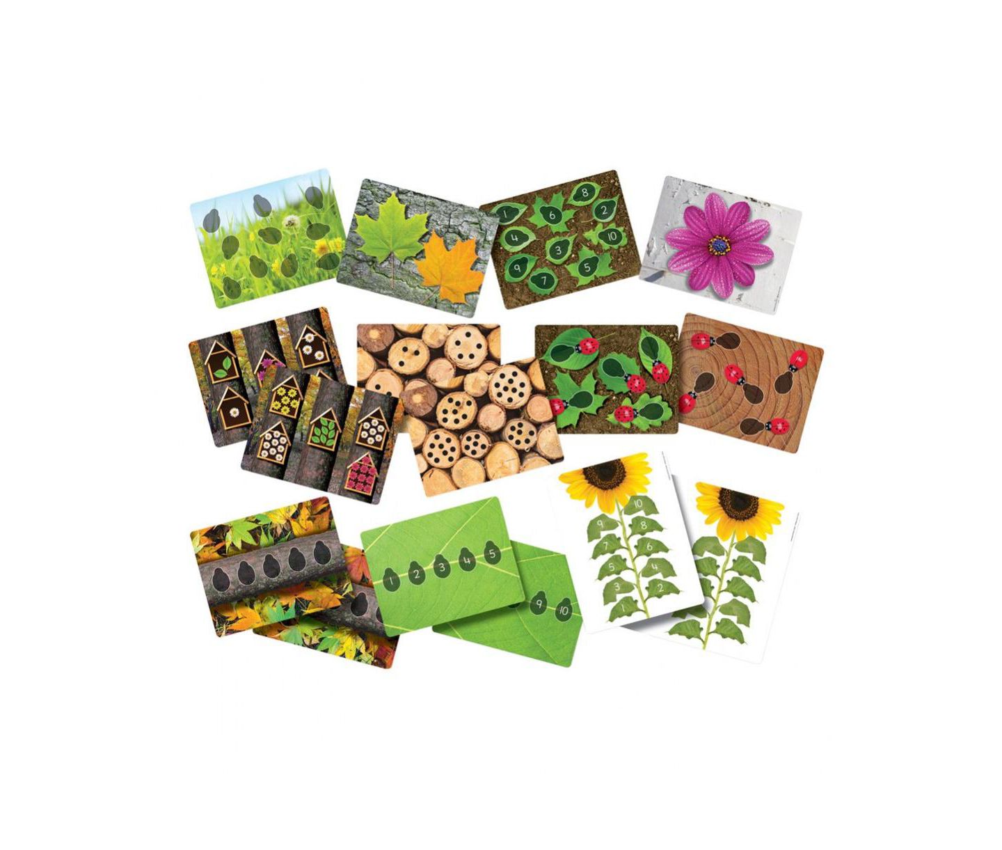 Детские игрушки Yellow Door Ladybug Stones and Detailed Activity Cards, цвет: Разноцветный — фото 4