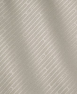 Paralux Hardside Large 30" Check-In Spinner Luggage