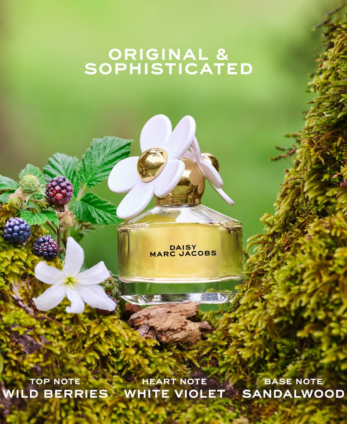 Marc Jacobs 4-pc. Daisy Fragrance Gift Set In Transparent