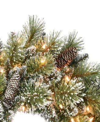 24 inch Prelit Premium Decorated wreath with 50 Clear Incandescent Lights