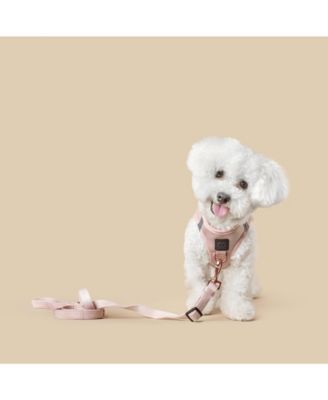 SoHo Dog Harness