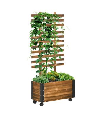 Chic Crate