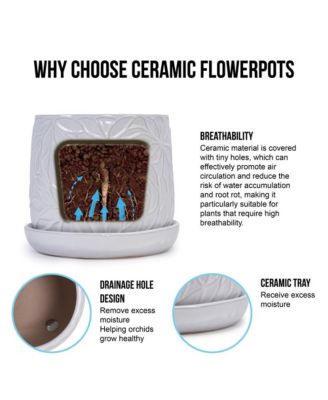 Set of 2 Modern Ceramic Planter Pots