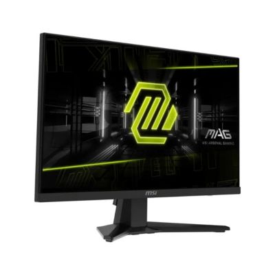 MAG 244F 23.8" 16:9 Full HD 200Hz Rapid IPS LCD HDR Gaming Monitor, Metallic Black