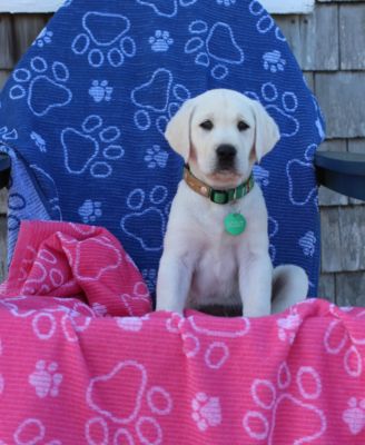 Delilah Home