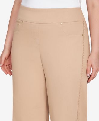 Plus Size Embroidered Stretch Pull On Pants