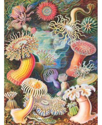 Sea Anemones 1000 Piece Puzzle