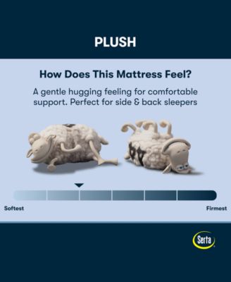 Perfect Sleeper Cobra Lily 10.5" Plush Tight Top Mattress Set, Twin