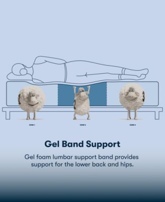 CLOSEOUT! Perfect Sleeper Cobra Lily 11" Plush Euro Top Mattress Set, Queen