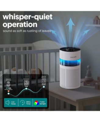 Portable Air Purifier