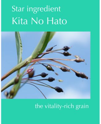 Albion Skin Conditioner Essential N