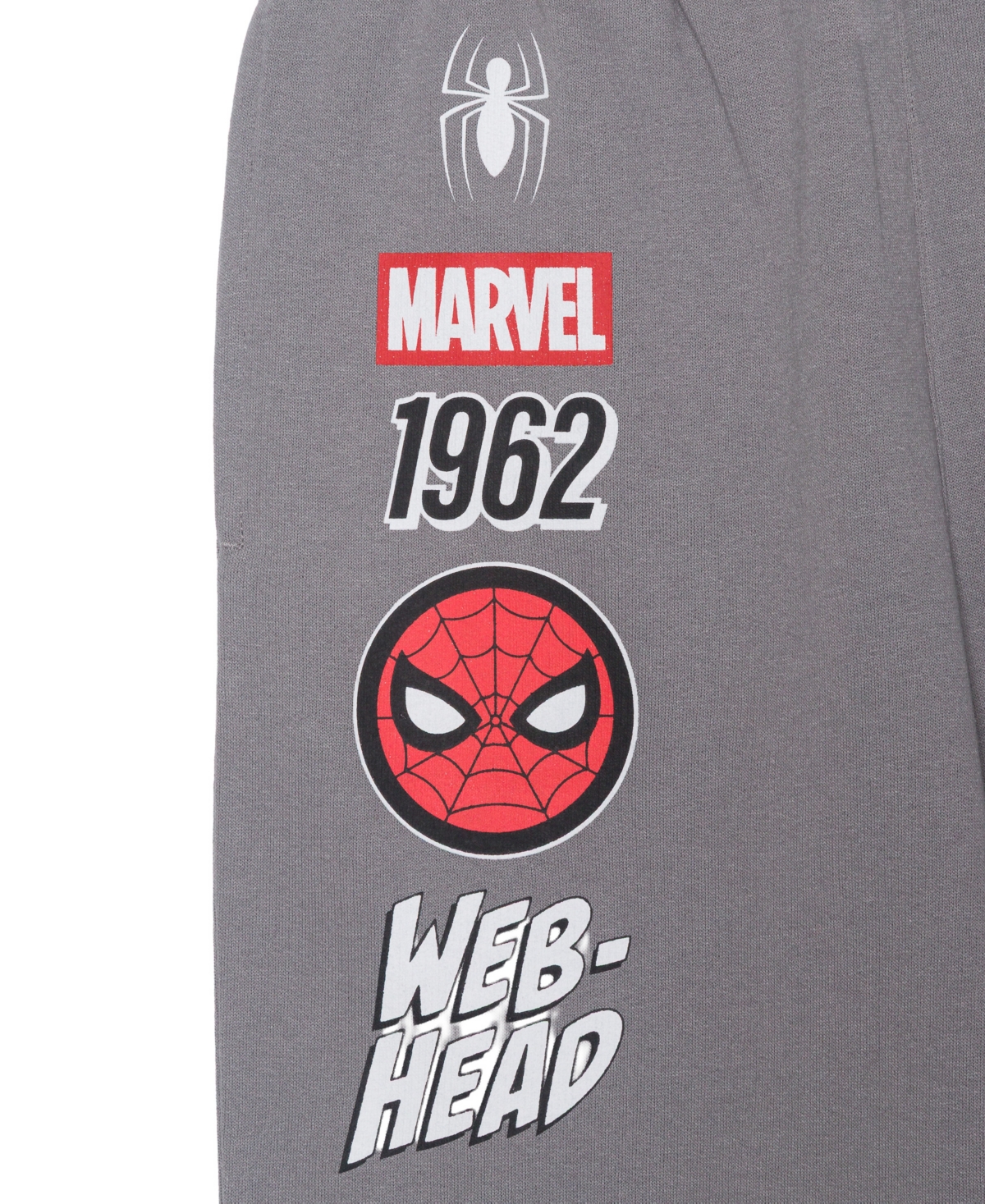 Spider-Man Boys 5-20 Web-Head Printed Pull-On Pants