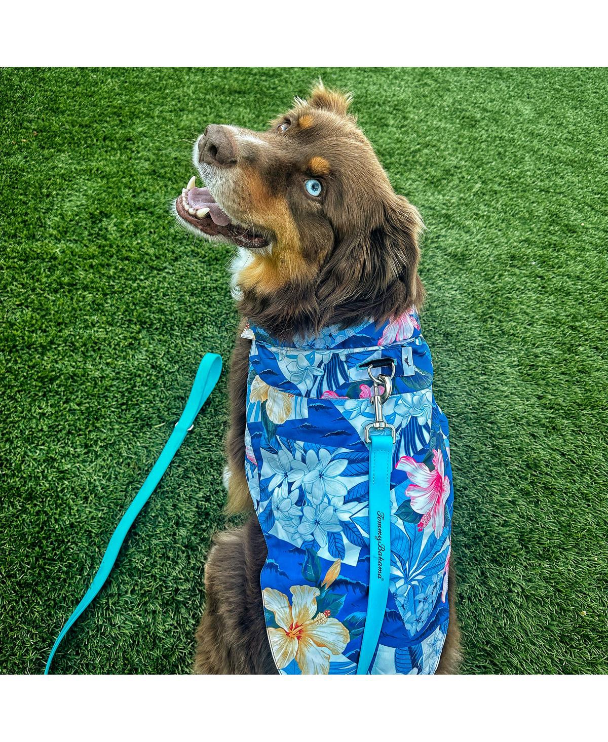 Tommy Bahama Pet Pet Tommy Bahama Pet Hawaiian Shirt & Apparel Harness