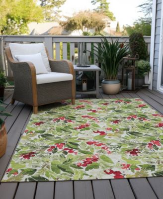 Holiday Washable Indoor/Outdoor ACN1816 10'x14' Area Rug