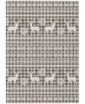 Holiday Washable Indoor/Outdoor ACN1820 10'x14' Area Rug