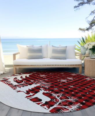 Holiday Washable Indoor/Outdoor ACN1824 8'x8' Round Area Rug