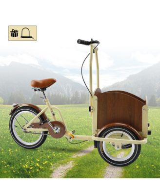 Tricycle for Ladies and Teens with Oversized Front Basket for Pets and Picnic Gear
