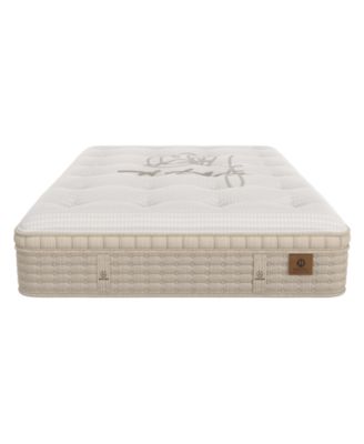 Violet 16" Plush Euro Top Mattress, King, Exclusively at Macy's
