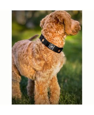 The x Fi Rockstar Collar