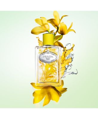 Infusion Ylang Eau De Parfum, 3.38 oz.