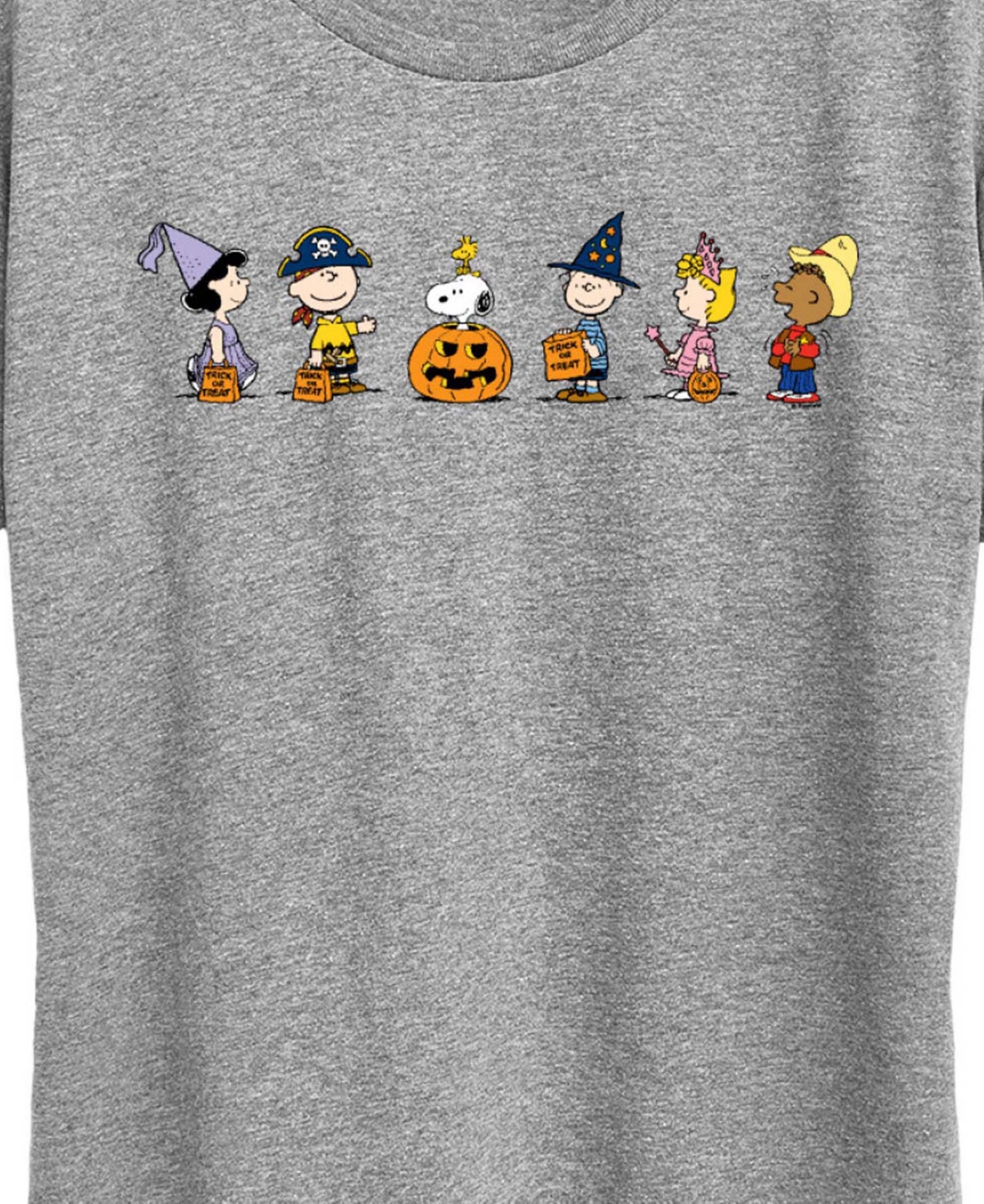 Hybrid Apparel Peanuts Gang Halloween Trick Or Treat Women's Short Sleeve Graphic T-shirts In Gray