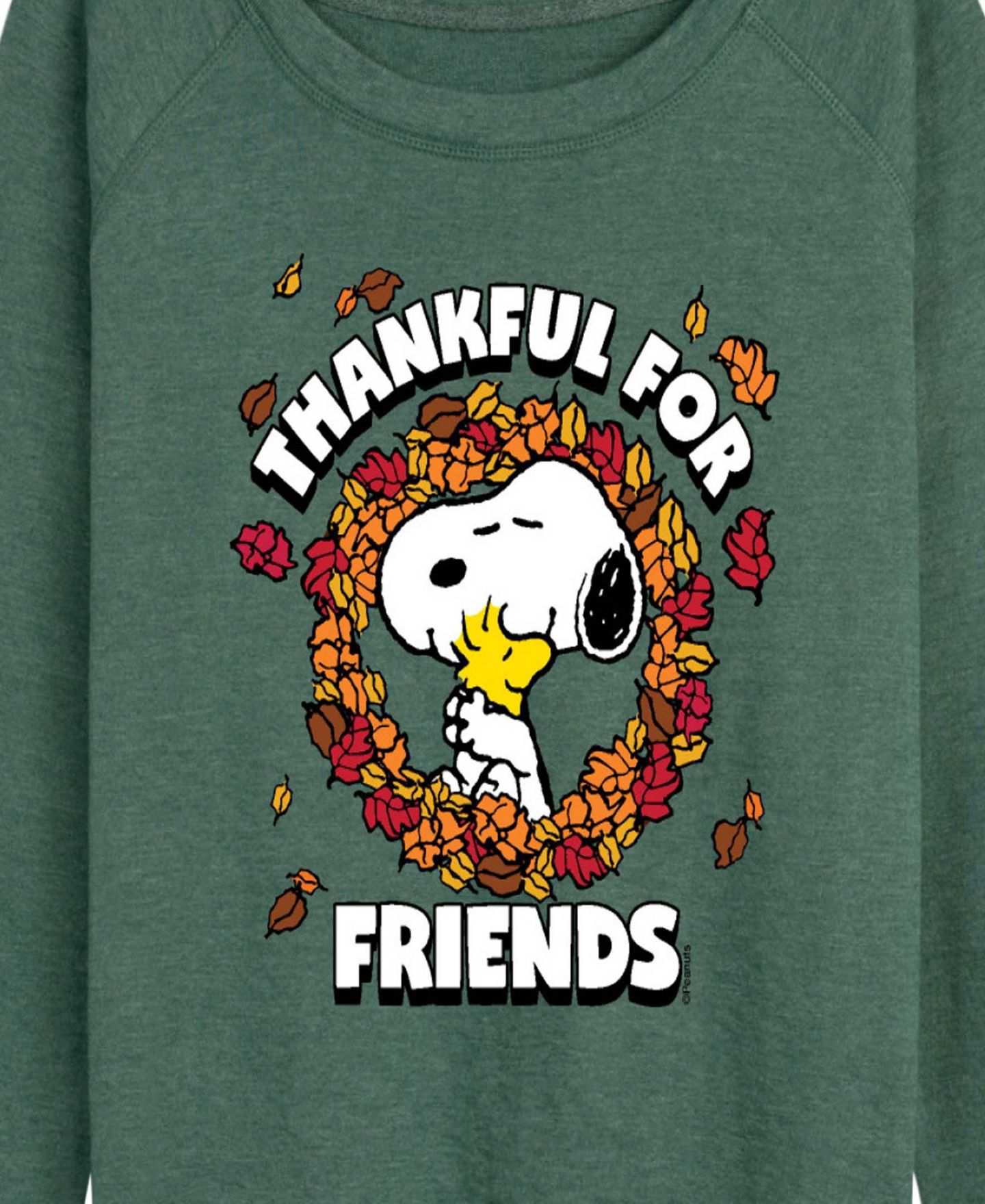 Женская футболка Hybrid Apparel Plus Size Snoopy and Woodstock Fall Friends French Terry Long Sleeve, цвет: Зелёный — фото 2