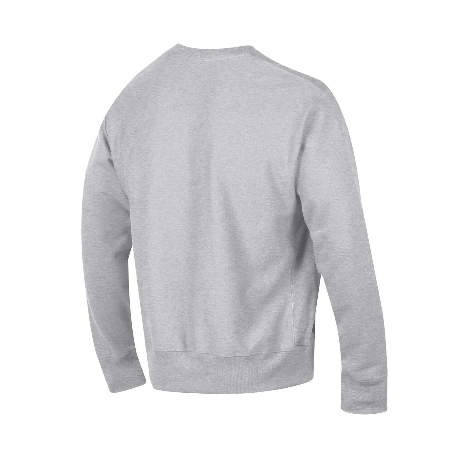 Men's Heather Gray Carolina Panthers Reverse Weave Fleece Pullover Sweatshirt