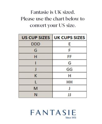 Plus Size Rebecca Essentials Underwire Spacer T-Shirt Bra