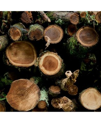 35mm f/1.2 DG II Art Lens for Sony E