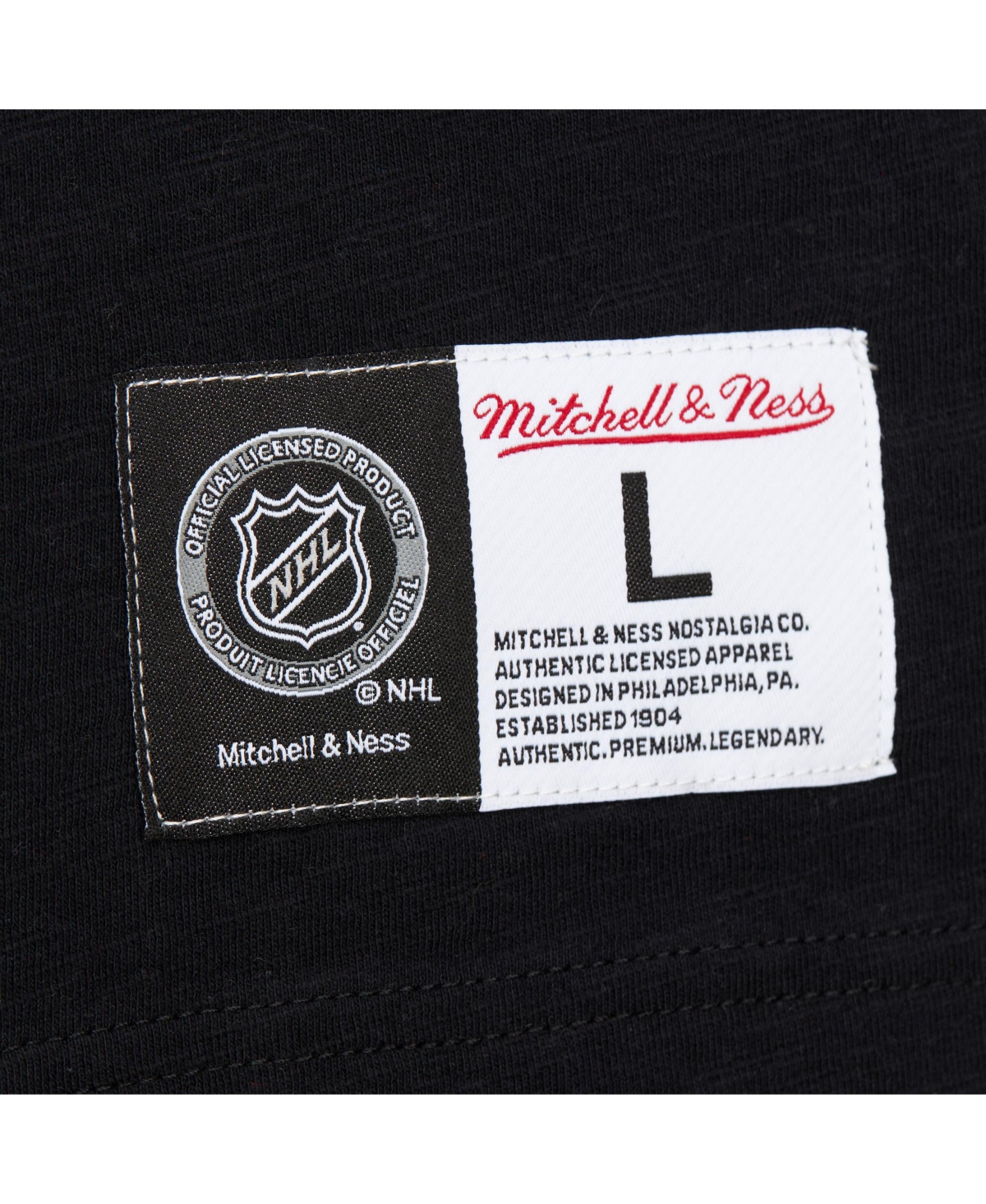 Mitchell & Ness Men's Black/Teal San Jose Sharks Legendary Slub Raglan Long Sleeve T-Shirt