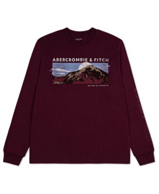abercrombie kids - Boys 5-16 Mountain Range Long-Sleeve T-Shirt