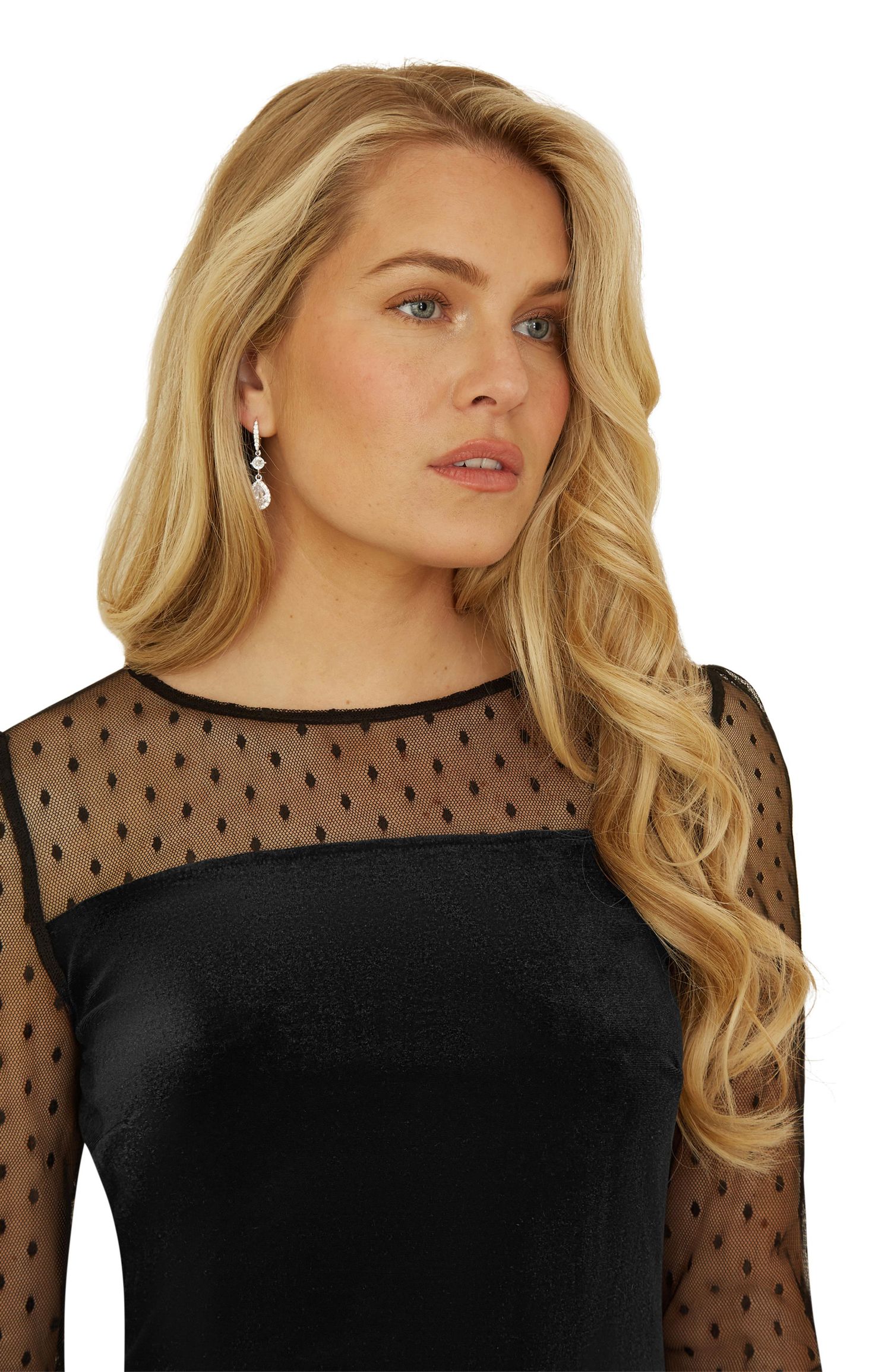 Women's Velvet Sheer Sleeved Mini Dress