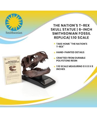 The Nation's T-Rex Skull Statue | 6-Inch Smithsonian Fossil Replica| 1:10 Scale