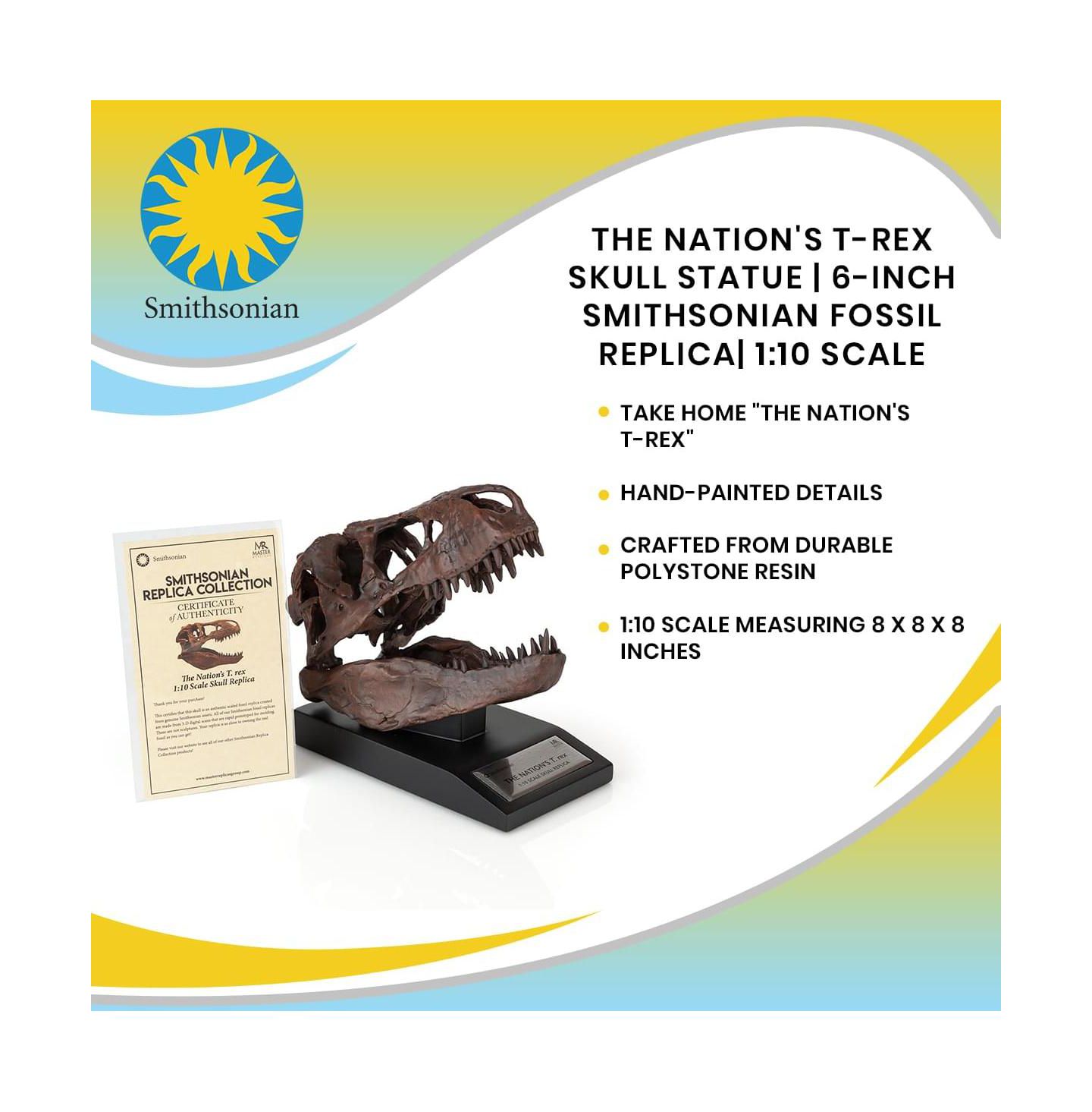 Детские фигурки Master Replicas The Nation's T-Rex Smithsonian 1:10 Scale 6" Skull Replica, 14 Years & Up, цвет: Assorted Pre-Pack — фото 5