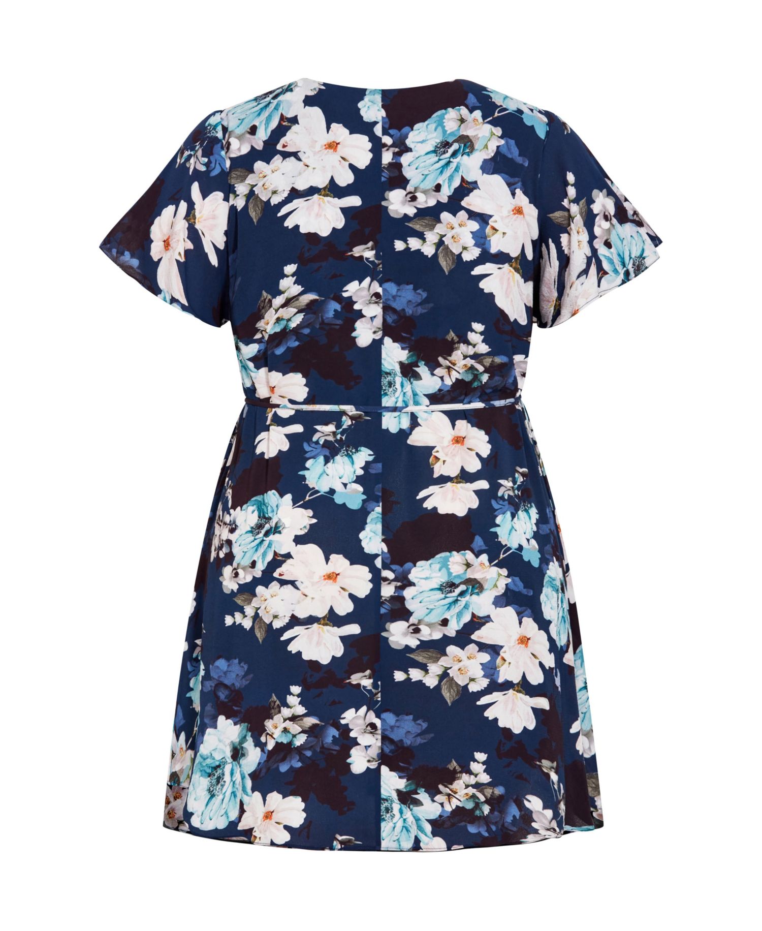 Plus Size Megan Print Dress