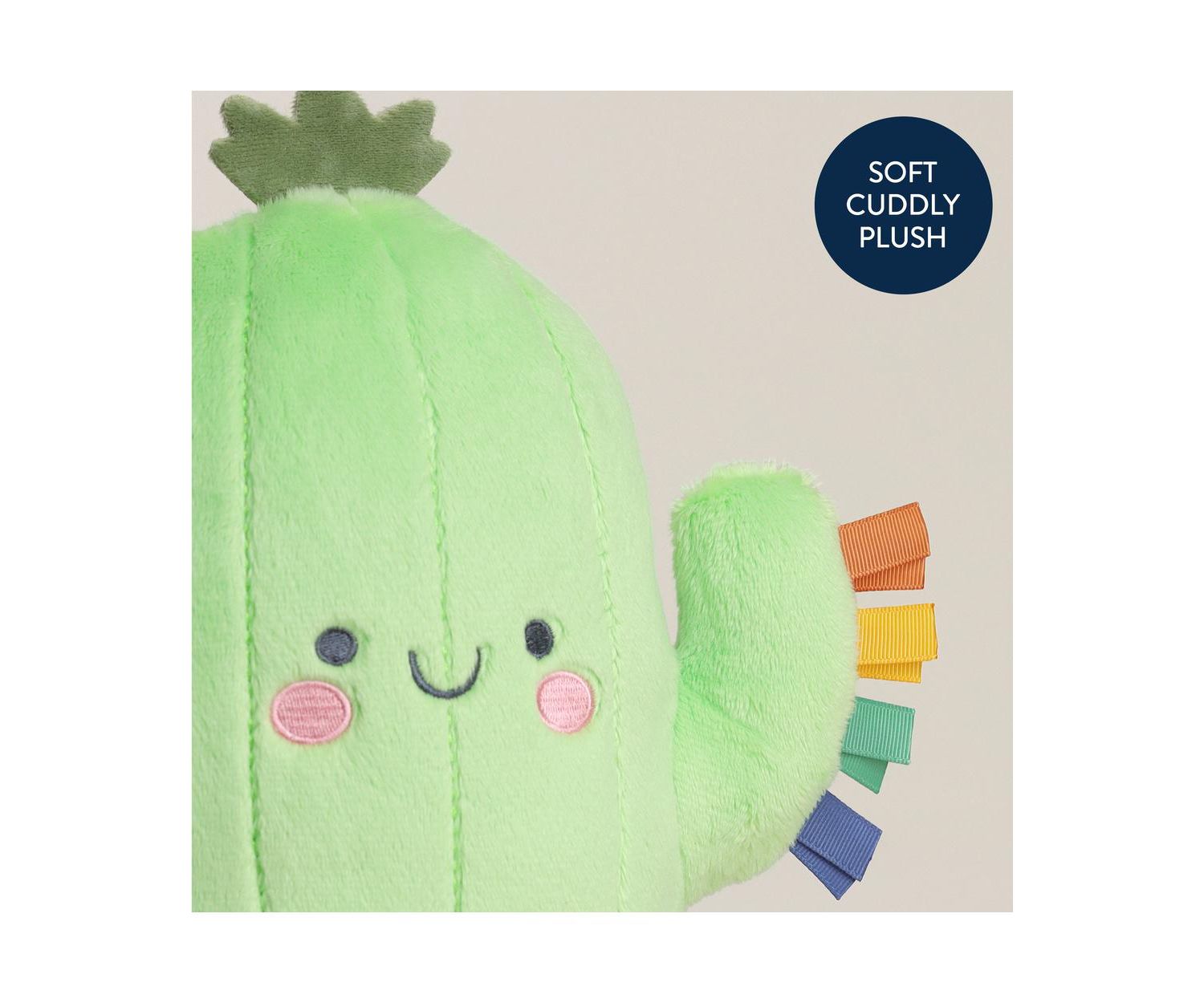 Baby Sweetie Snuggles Cactus
