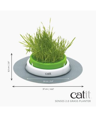 Senses 2.0 Grass Planter, Retail